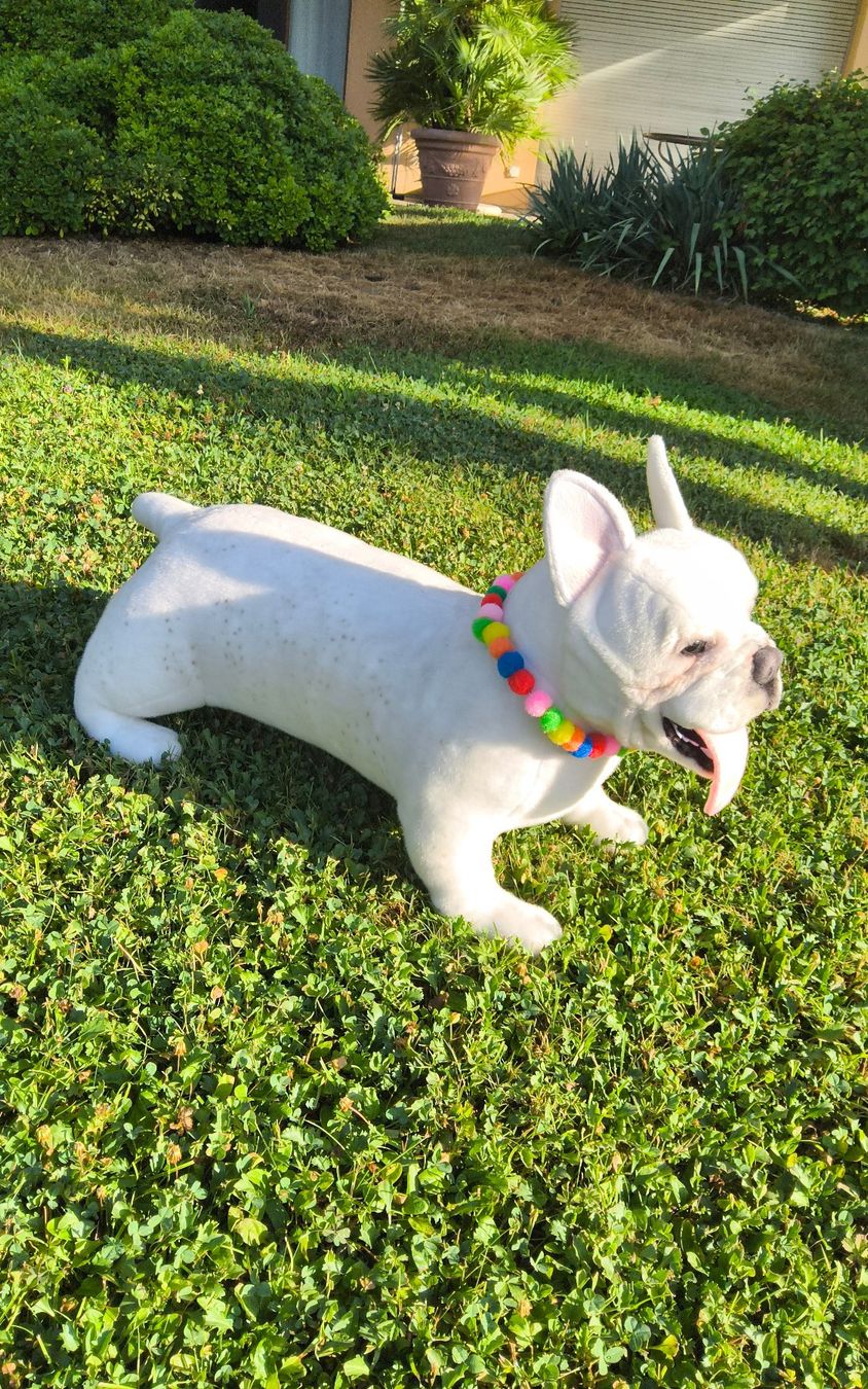 Jouets: French  Bulldog  Plüsch – Neuf (Voir description) à Castagnola par Cat-WomenX 3