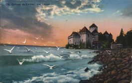 Château de Chillon, Möven, Stempel PORT, 1923