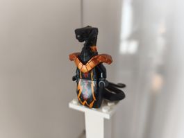 Lego Ninjago Minifigur Char