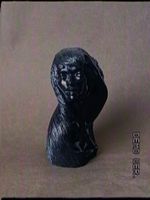 Schöne Frauenbüste / Statue / Hawaii