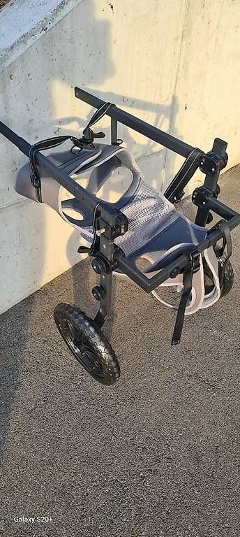 Carriole: Hunde Hilfswagen – Usato da Worb venduto da Werich 3