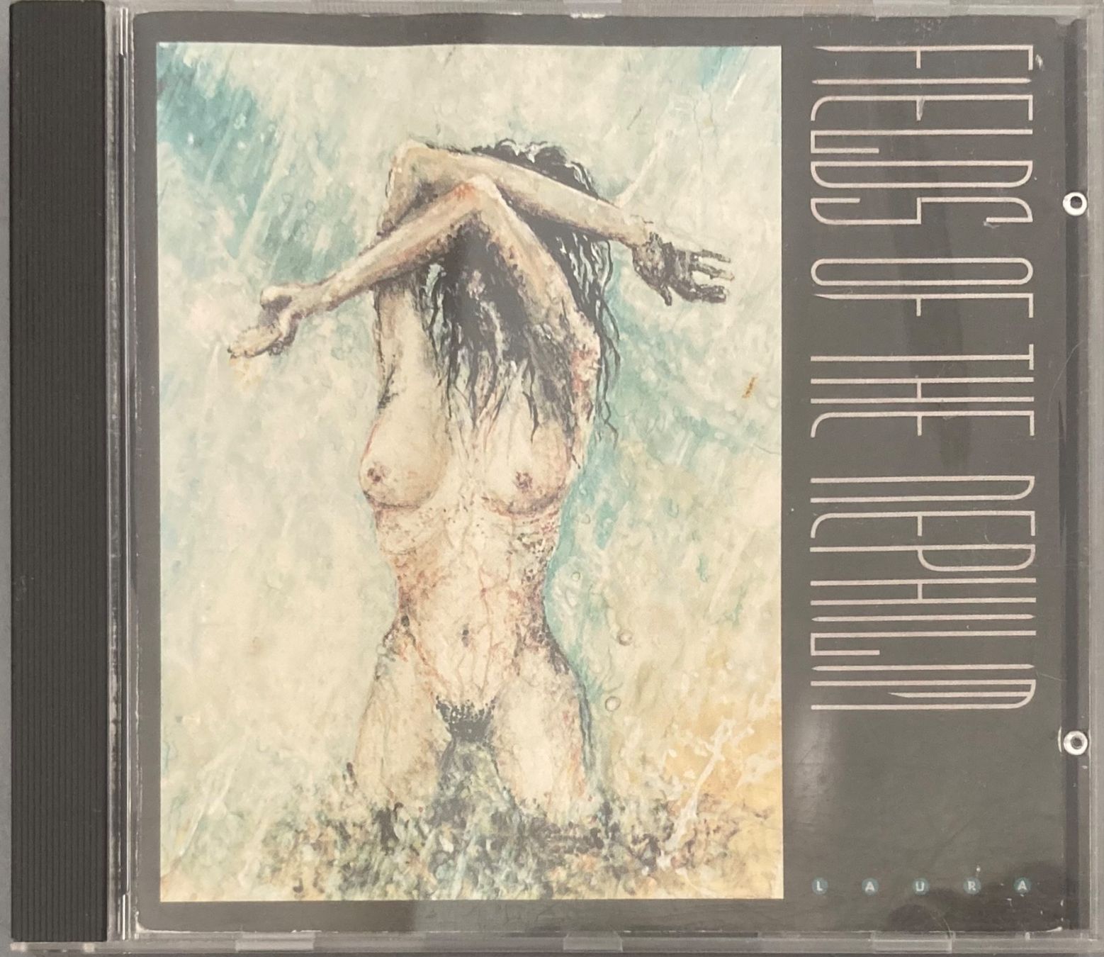 CDs: FIELDS OF NEPHILIM - LAURA – D'occasion à Poliez-Pittet par Newtown-Records