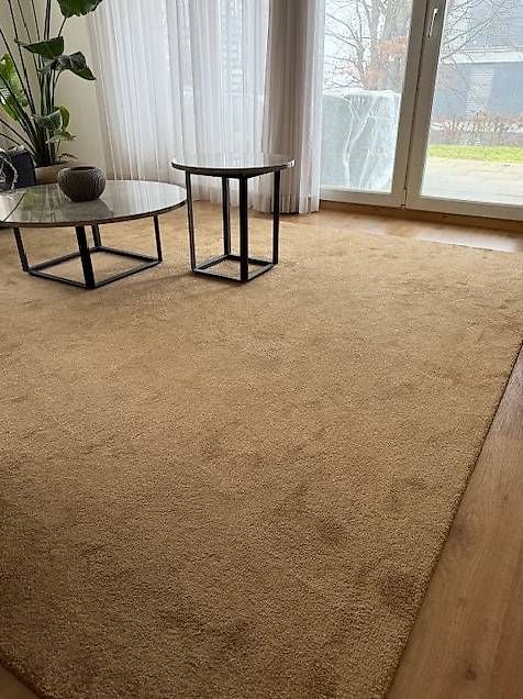 Pfister Tappeti: Grosser neuwertiger Teppich – Nuovo (secondo la descrizione) da Zürich venduto da Coco_chanel 3