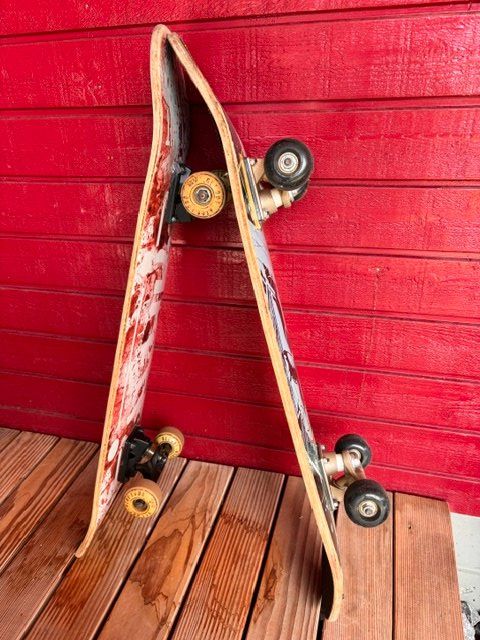 Skateboards: Skateboards – Usato da Ebikon venduto da gil_5czh 2