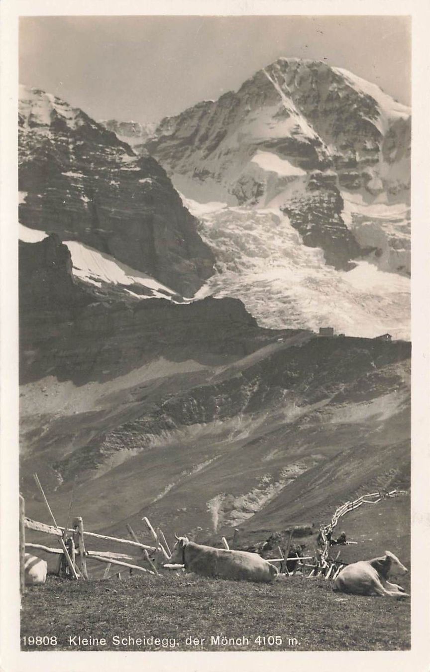 Cartoline postali: Kleine Scheidegg der mönch – Usato da Biasca venduto da Blenio71