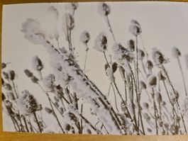 Postkarte