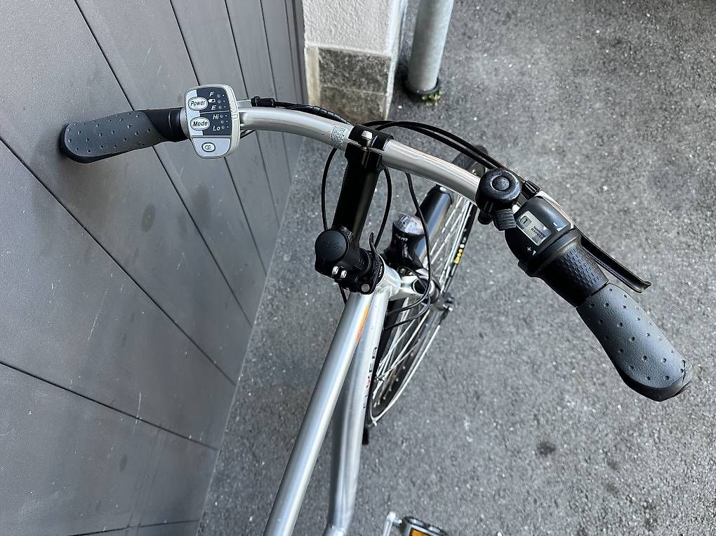 Biciclette: E-Bike da uomo Flyer uomo 28  – Usato da Quartino venduto da DiloUsato 4