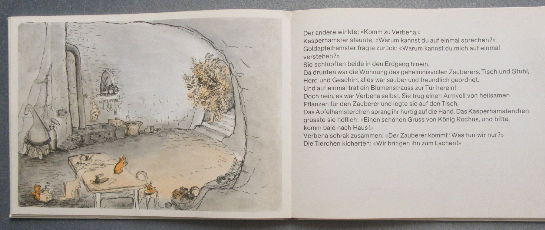 Libri: Der Goldapfelhamster - Ein Märchen von Therese Keller – Usato da Auenstein venduto da Padabimbim 5