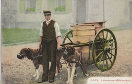 Luzern, Milchmann, Hundewagen, Wehrli