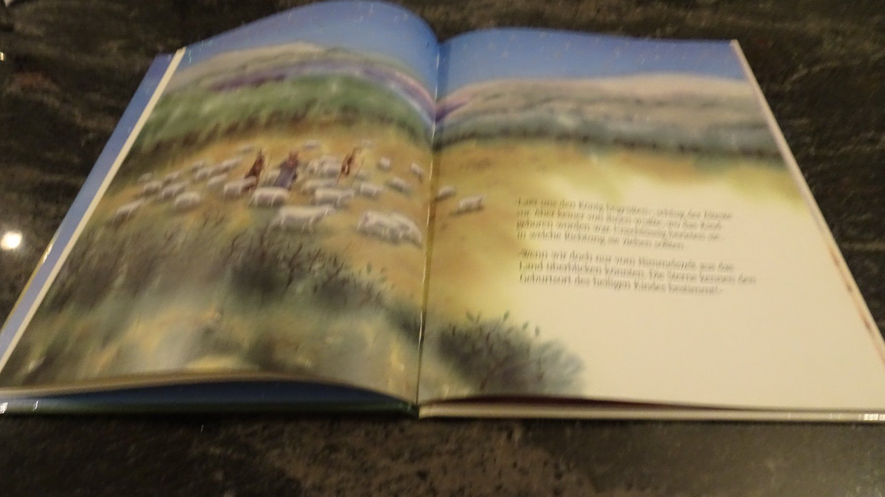 Libri: Der Weihnachtsstern mit Glitzereffekt  Marcus Pfister – Usato da Zürich venduto da Roulet 4
