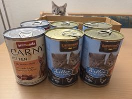 Nassfutter Kitten Carny + Kitten Leonardo 6 Dosen