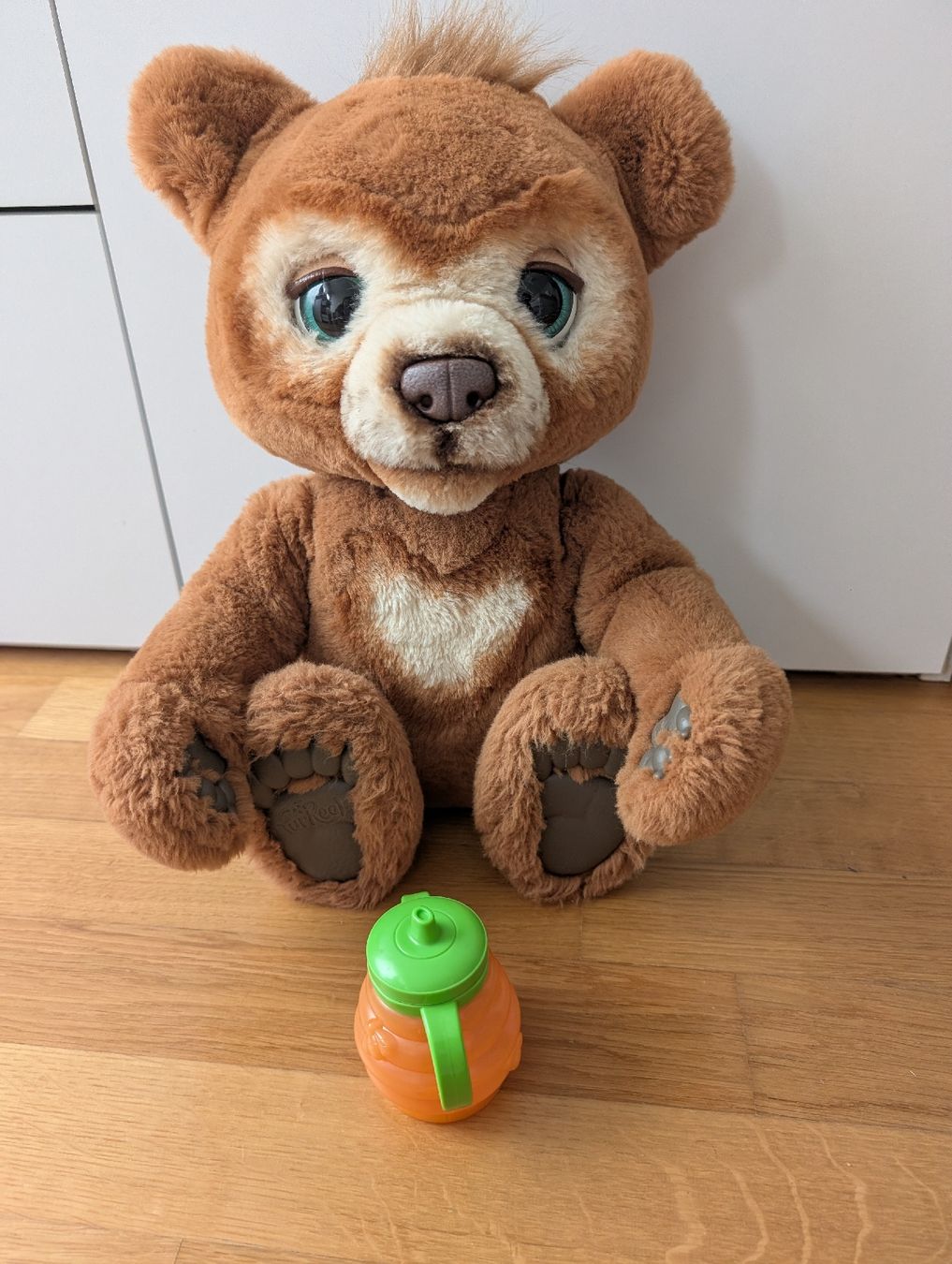FurReal Spielzeuge: FurReal Friends Bär Cubby mit Honigtopf interaktiv – Gebraucht aus Wädenswil von HummerZH