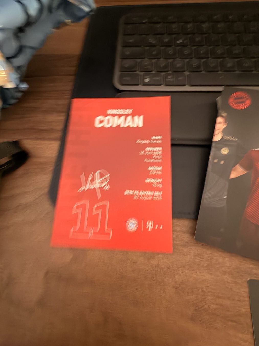 Autografi: FC Bayern Autogrammkarten-Set Lewandowski, Coman u.a. – Usato da Hellbühl venduto da dodo433 2