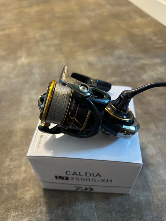 Neue Daiwa 21 Caldia LT2500-XH Angelrolle | Kaufen auf Ricardo