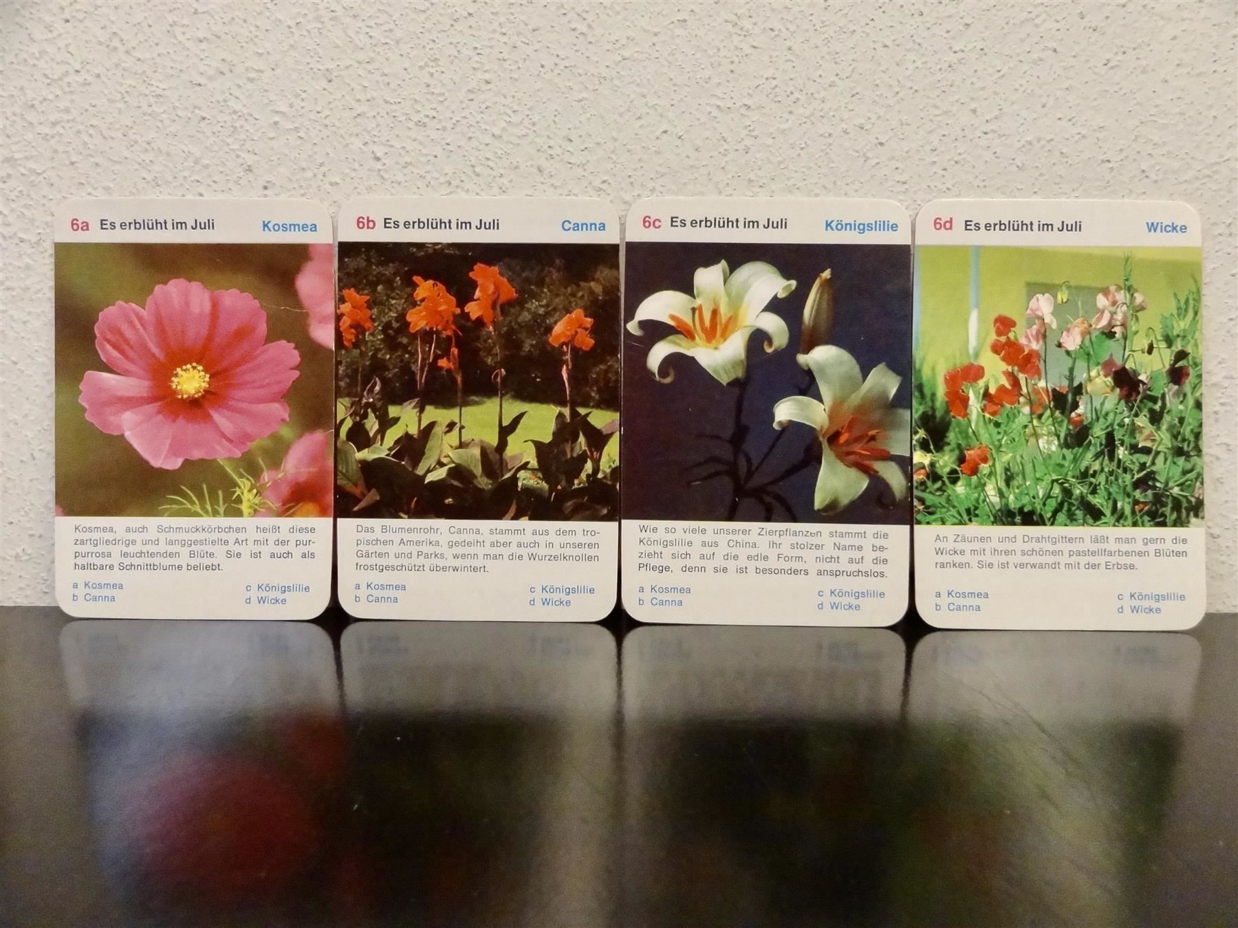 Giochi: altes Quartett BLUMEN-QUARTETT BLUMEN – Usato da Kerzers venduto da wisaundso 8