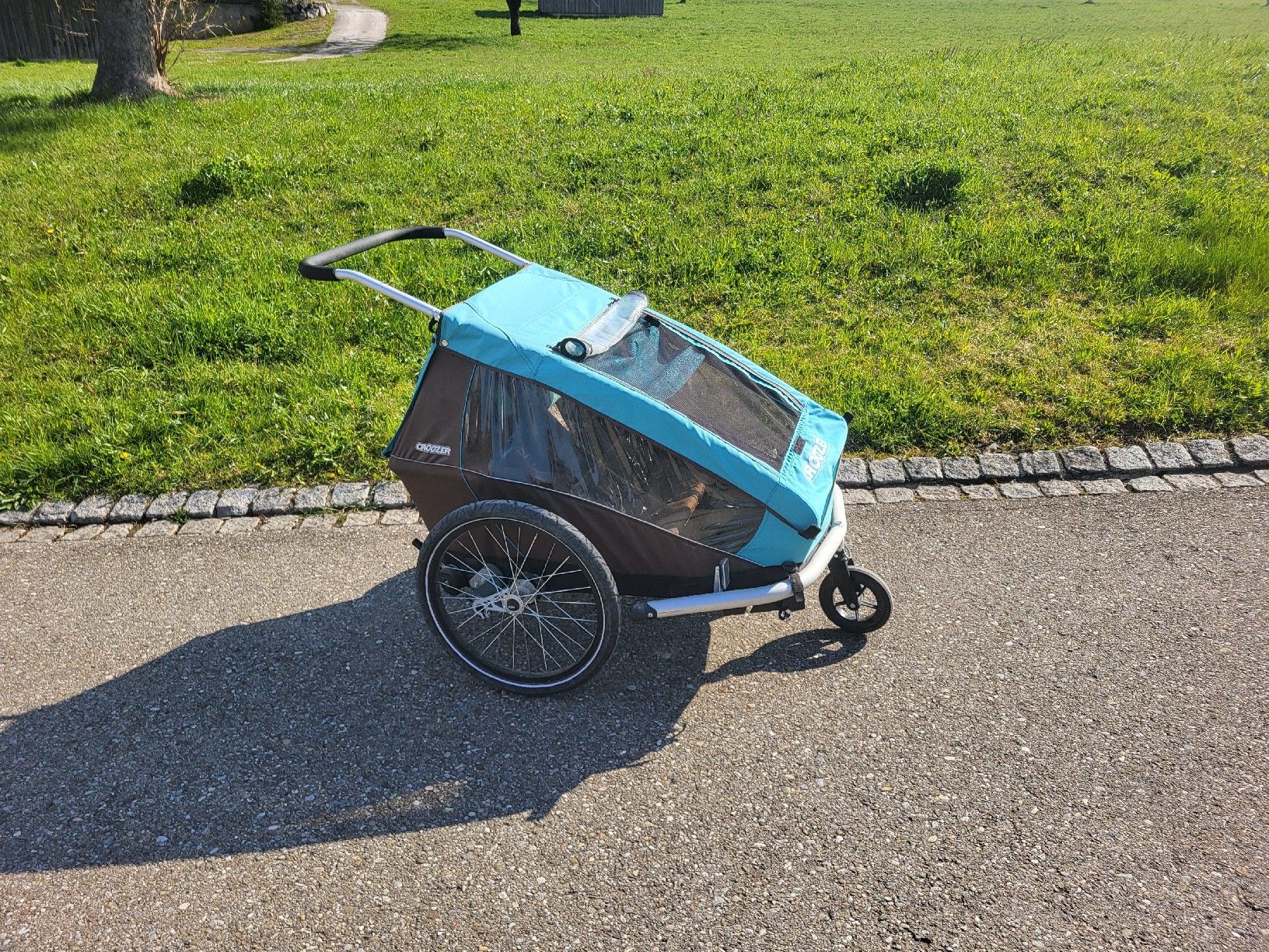 Thule Rimorchi: Thule Croozer Veloanhänger – Usato da Rickenbach Sulz venduto da Viperbt 1