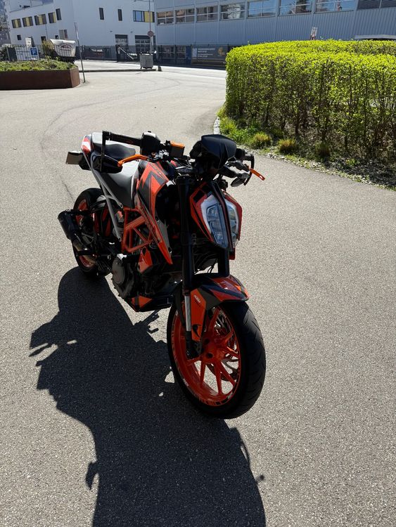 KTM Strada: KTM Duke 390 - Ab MFK - Lieferung bis nach Hause möglich! – Usato da Birsfelden venduto da Dealgoenner24 7