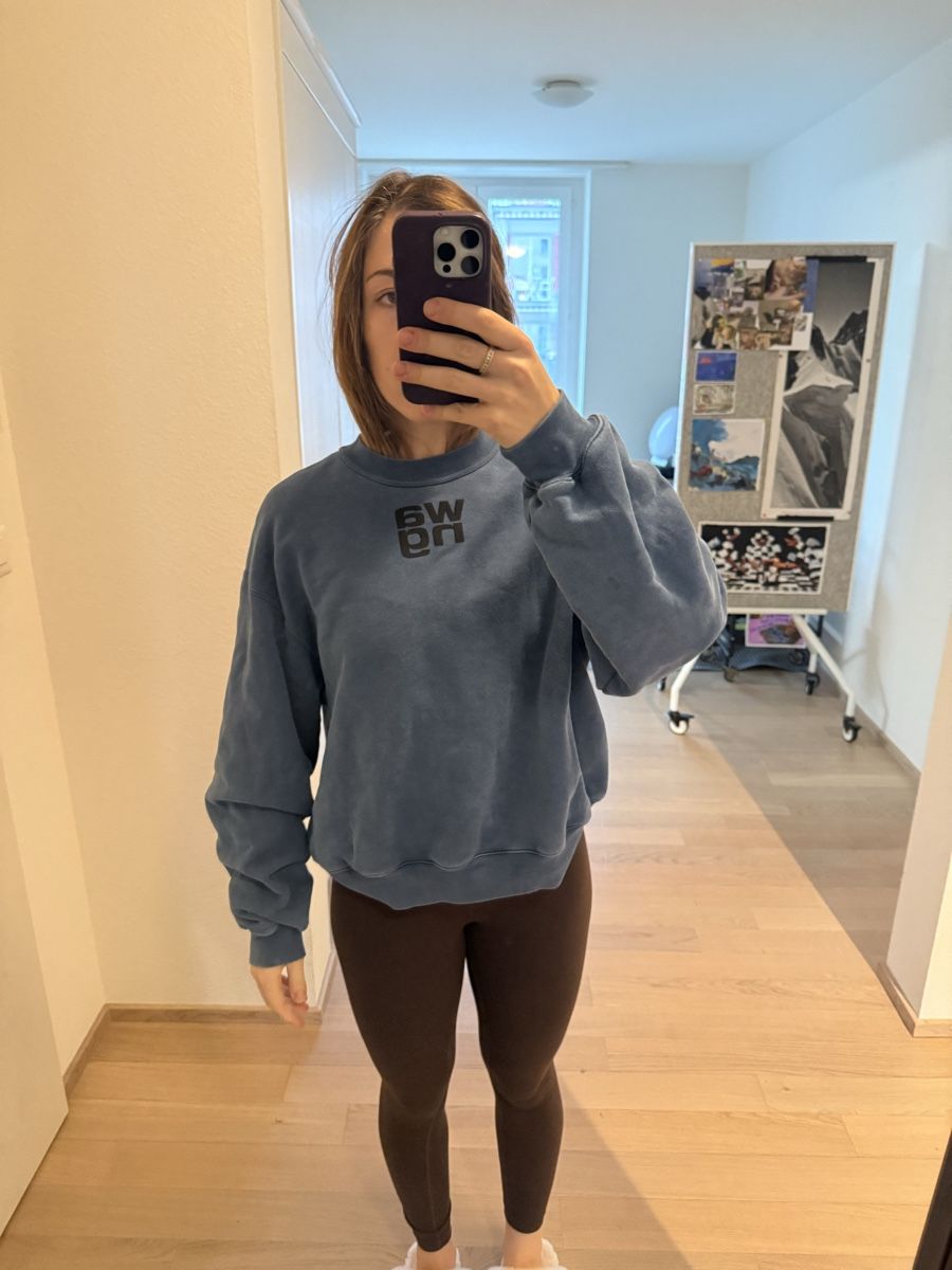 Alexander Wang Maglioni & Felpe: Alexander wang sweatshirt – Usato da Zürich venduto da AlineCr