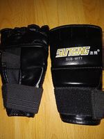 Boxhandschuhe