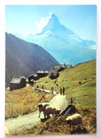 Findelen bei Zermatt, Matterhorn 4478 m