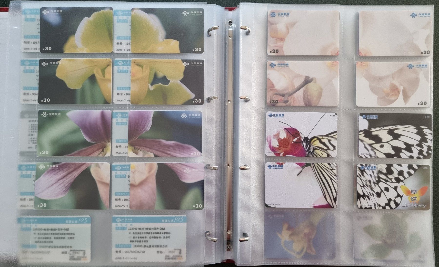 Album: Album 1 Telefonkarten Orchideen – Usato da Lostorf venduto da Dalbi 5