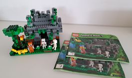 LEGO  21132 Minecraft     Der Dschungeltempel