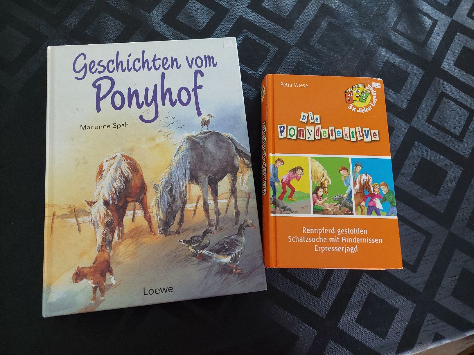 Bücher: 2 Pferdebücher – Gebraucht aus Zetzwil von lanst08