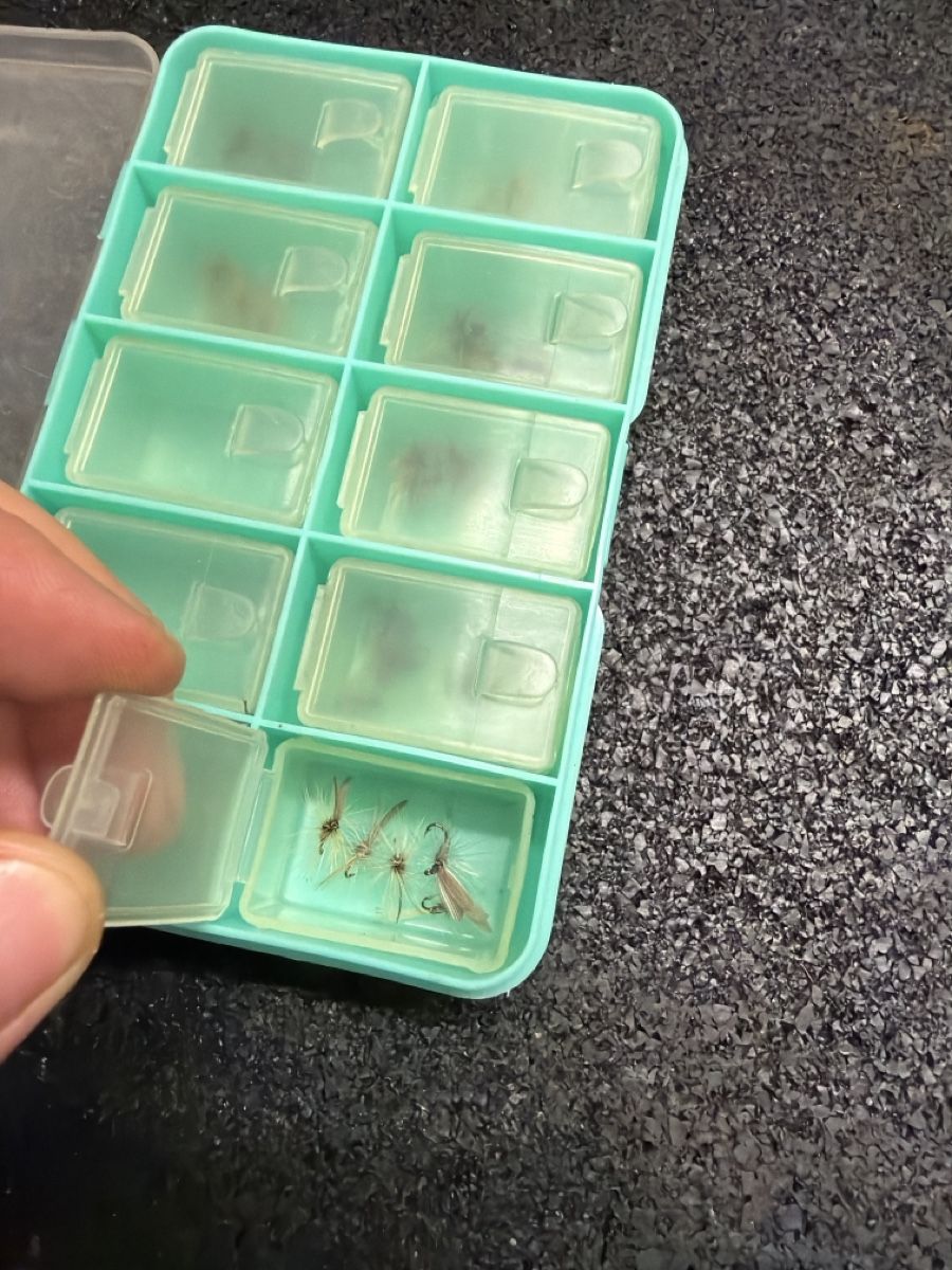 Köder: Fliegenköder in Kunststoffbox – Gebraucht aus Nesslau von deo_fqt7 5