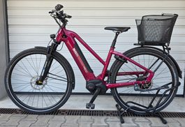E-Bike Cresta E-Giro Neo - 2020