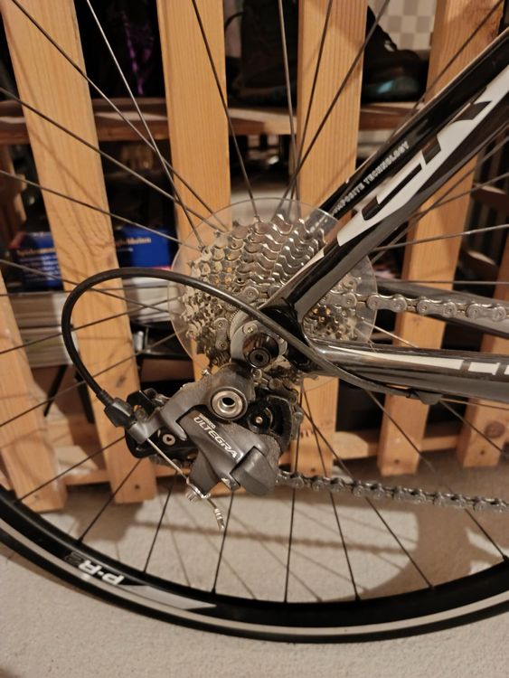 Giant Biciclette: GIANT TCR CARBON – Usato da Wetzikon ZH venduto da jas_jft7 2
