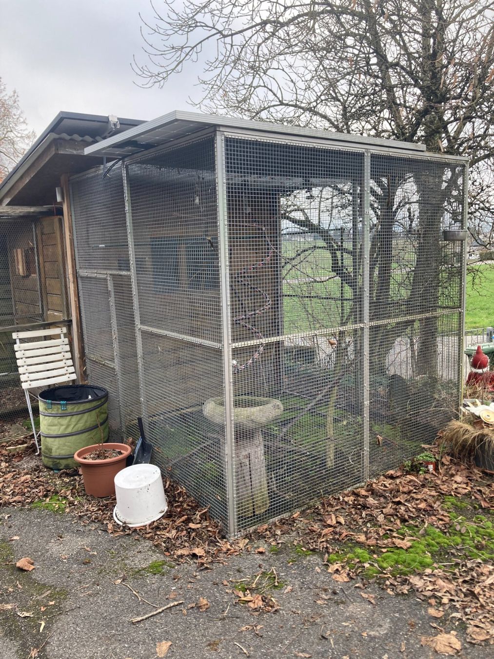 Casette per uccelli: Papageienvoliere – Usato da Mettmenstetten venduto da Piebald 1
