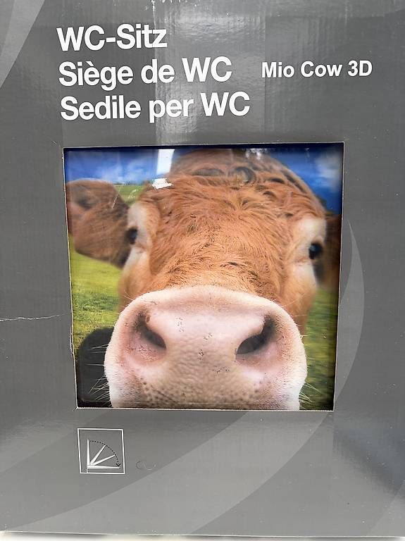 WC: WC-Deckel  – Neu und originalverpackt aus Eschenbach SG von ginofriuli