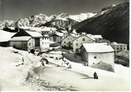 Guarda