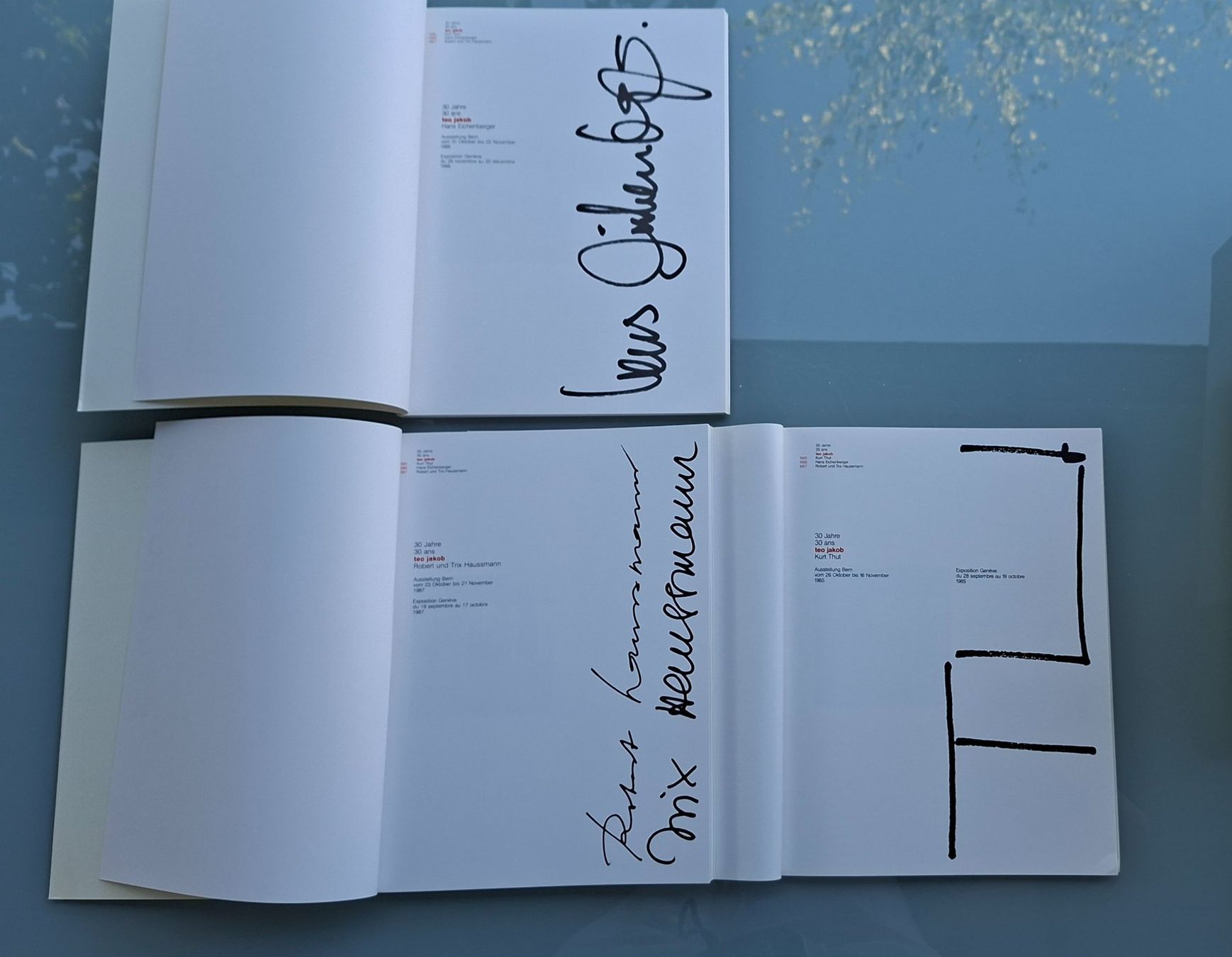 Bücher: Schweizer Möbel Design 1955-1987, Theo Jakob Edition – Gebraucht aus Opfikon von Diversamente 3