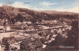 Wattwil SG // 1912 Bahnhof Züge // Sommer