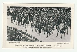 1911, England, Royal Progress Through London, Pferd