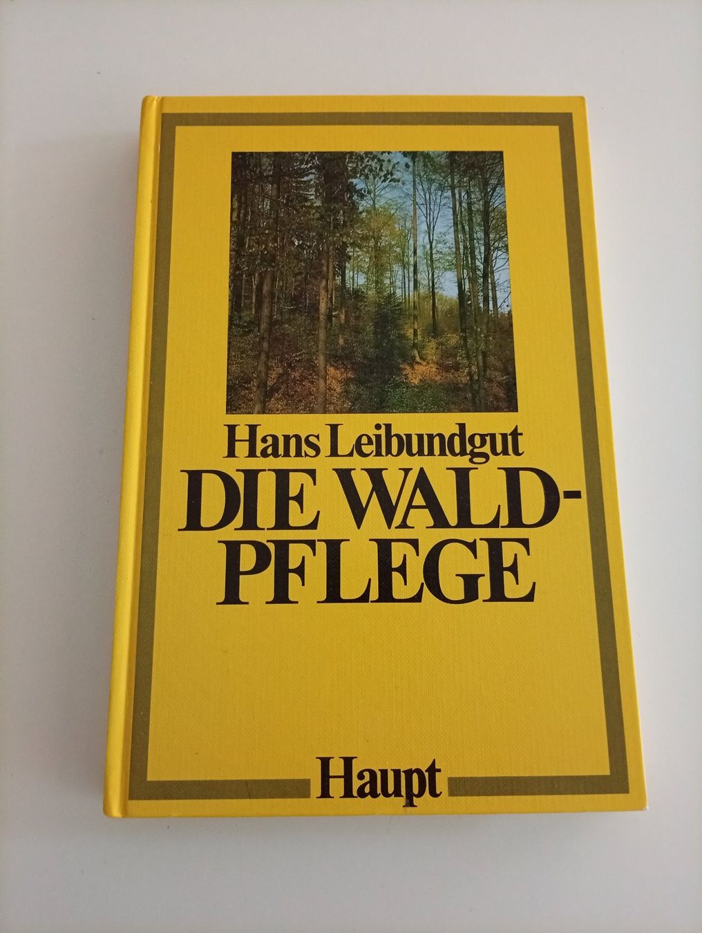 Libri: Hans Leibundgut, Die Waldpflege, 1978 – Usato da Locarno venduto da edn.vintage
