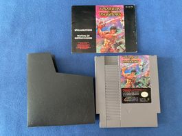 Wizards & Warriors NES