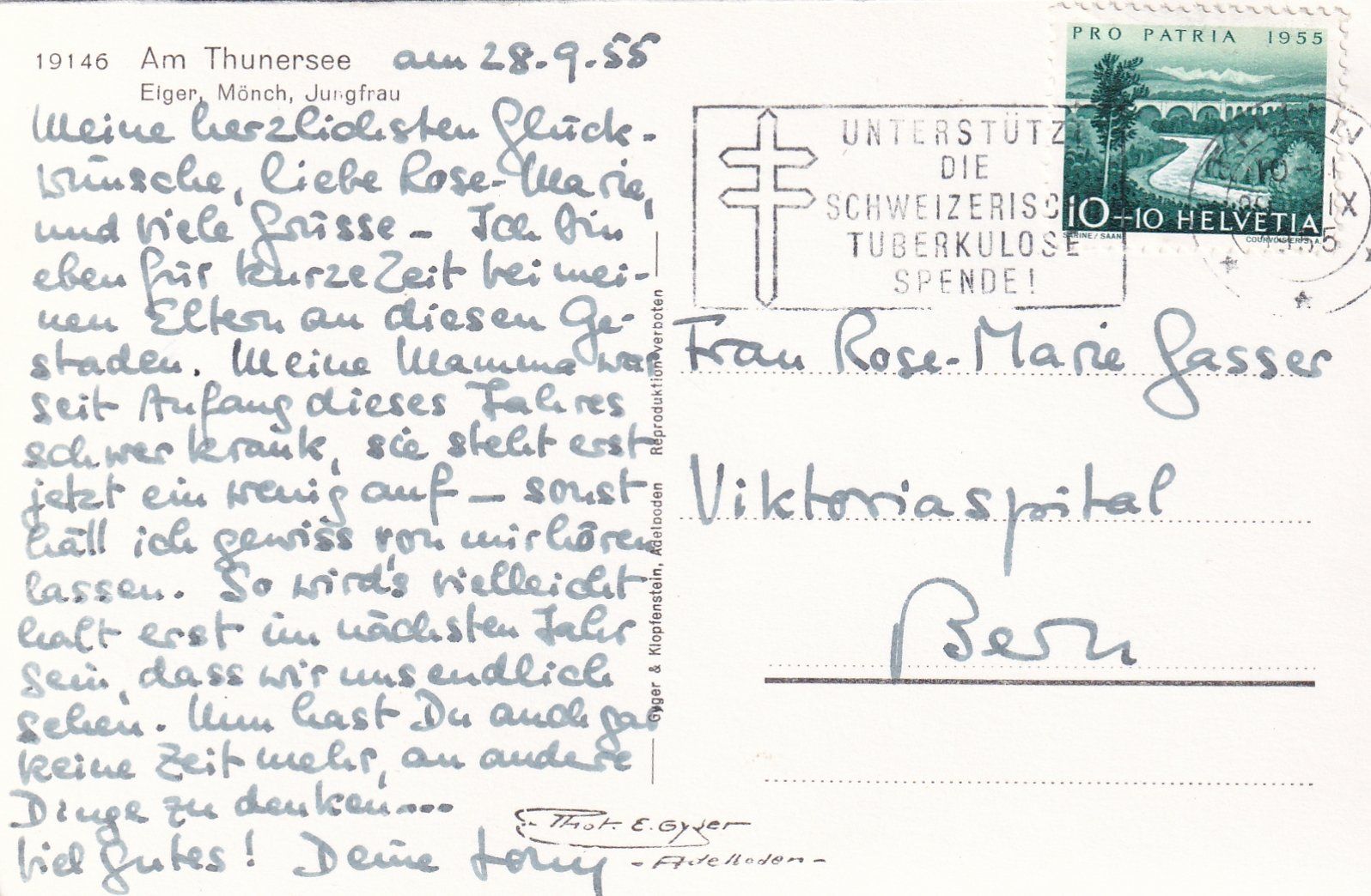 Cartoline postali: Am Thunersee (mit Eiger, Mönch und Jungfrau) /mp – Usato da Hombrechtikon venduto da Rudolf07 1