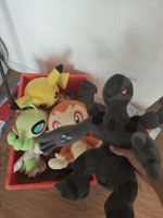 pokemon plüschtier zekrom + weitere