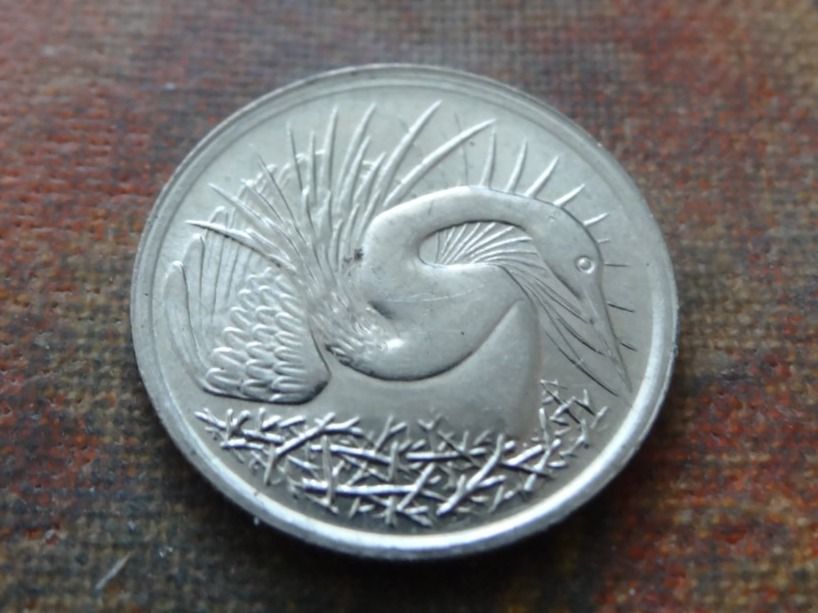 Alle Münzen: SINGAPOUR  5  Cents  1981 – Gebraucht aus Romanel-sur-Lausanne von Swift13 1