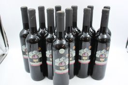 12x Merlot Veneto Gotthard 2024 (26080865Z)