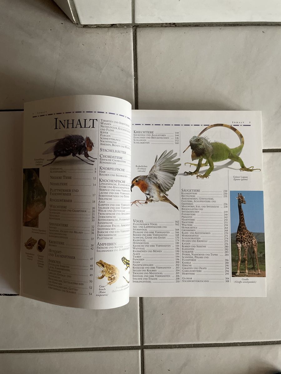 Libri: Faszination Tierwelt - Einzigartige Tierfotografien – Usato da Kaiseraugst venduto da KlausSina 5