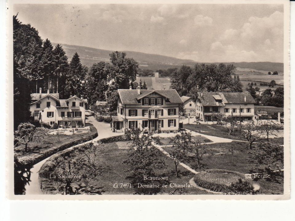 Cartoline postali: Areuse 1954 – Usato da Bürglen TG venduto da StampGraf