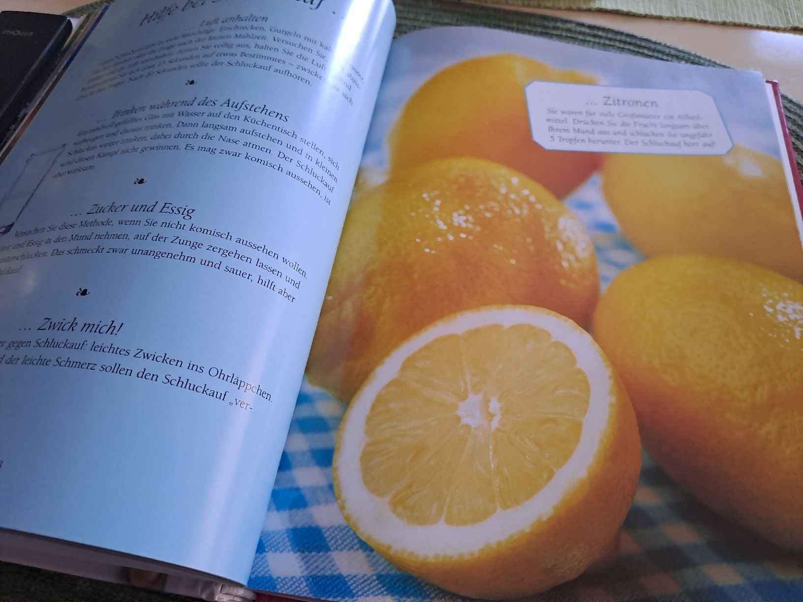 Libri: Omas Haushaltstipps - "Die besten Tipps & Tricks" – Usato da Zürich venduto da Schoebi19 6