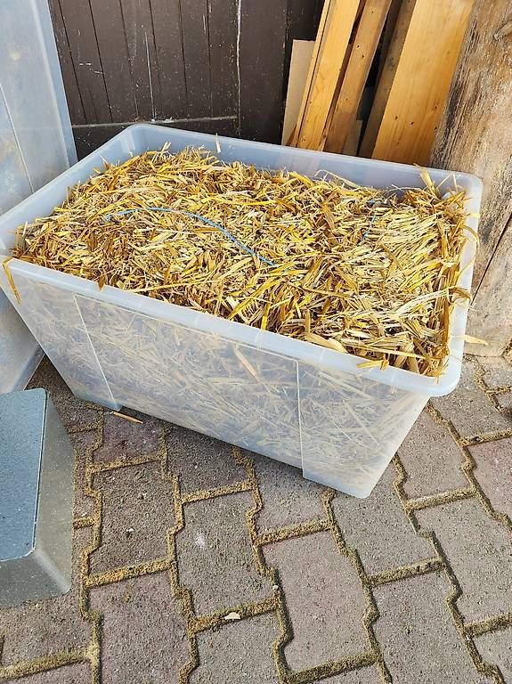 Transportkisten: Stroh mit Plastikkiste – Neu (gemäss Beschreibung) aus Ruppoldsried von ChinRupsi 1