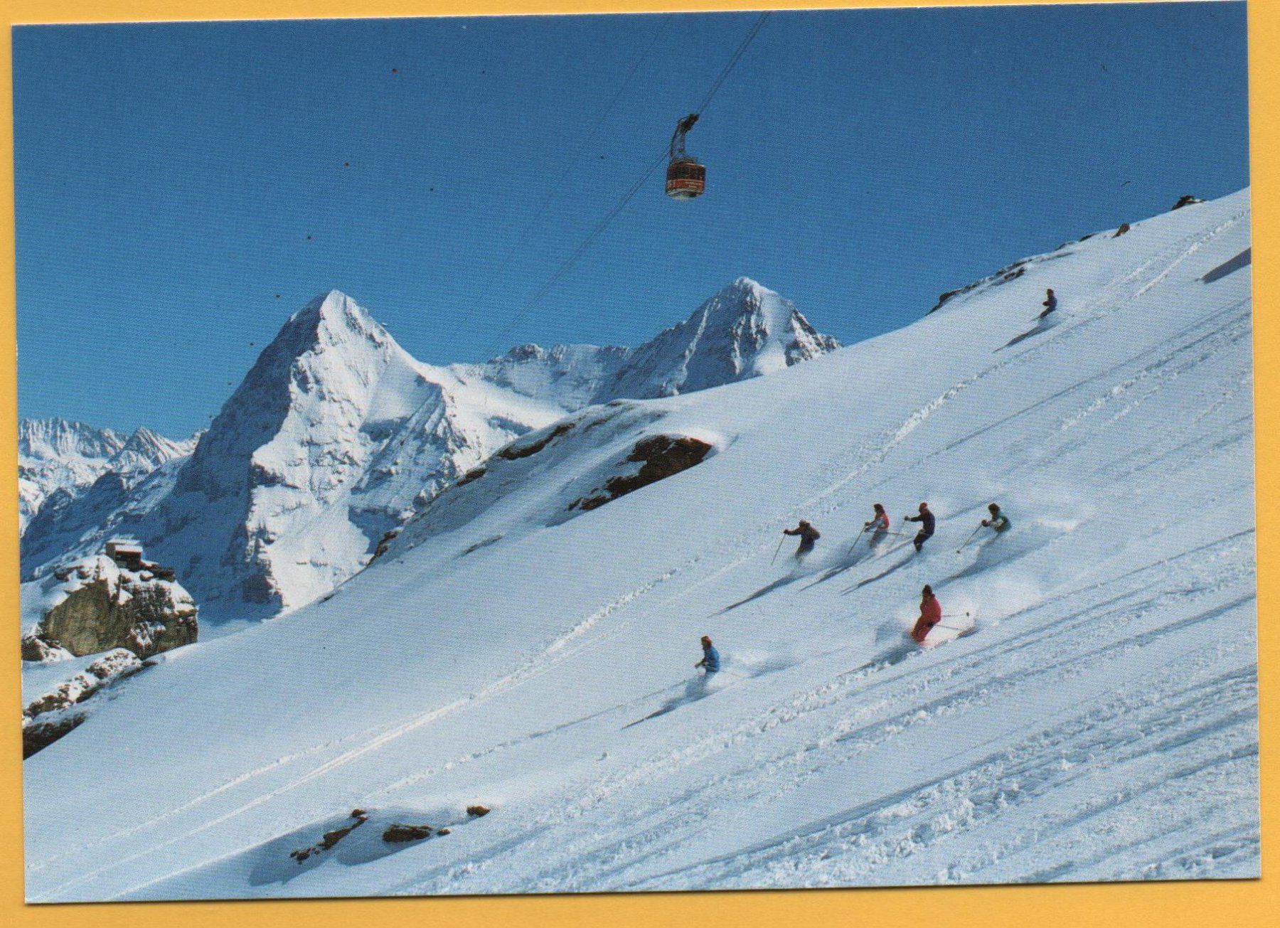 Cartoline postali: Mürren SKI-ABFAHRT v. Schilthorn, Luftseilbahn, Eiger, Mönch – Nuovo (secondo la descrizione) da Jona venduto da philajona