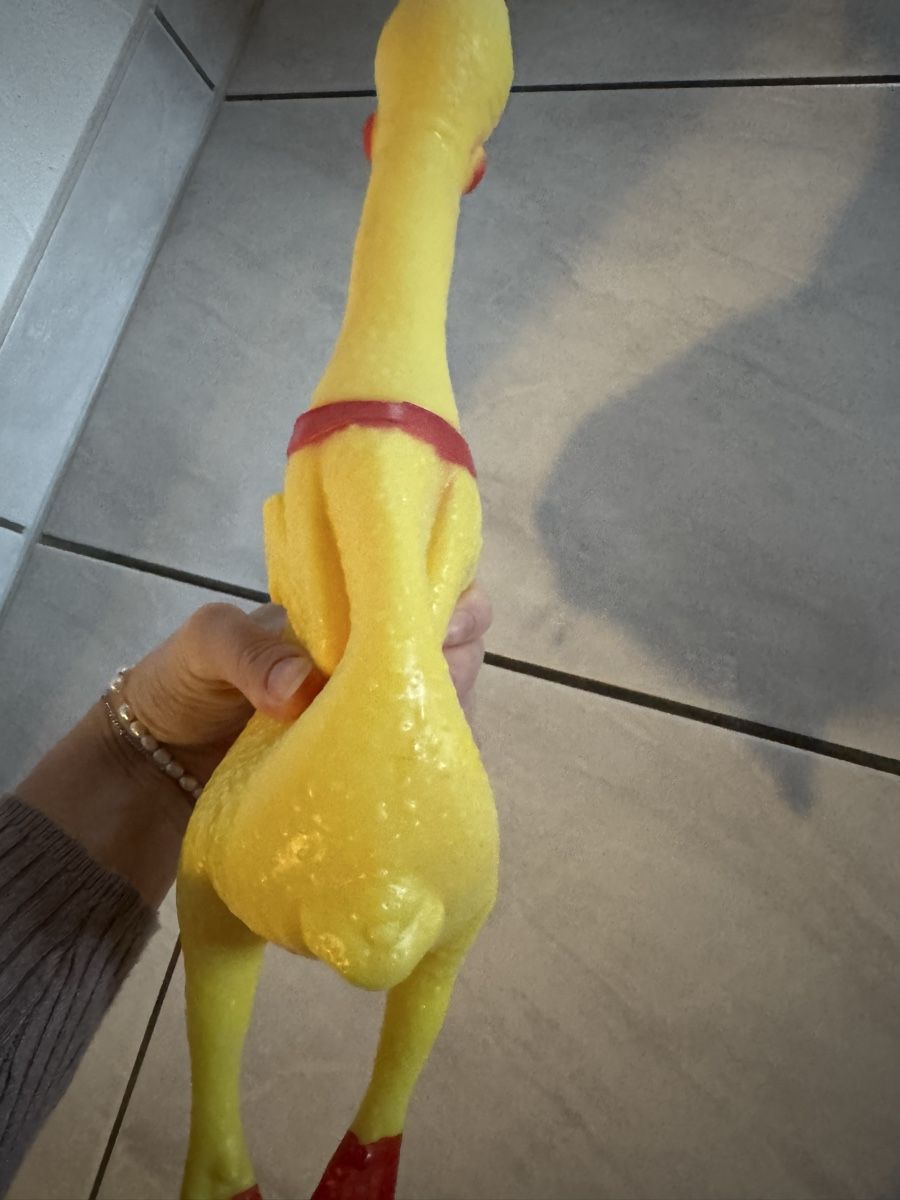 Giocattoli: Quietsch Huhn – Usato da Hergiswil NW venduto da kaufe_bei_kaufmann 3