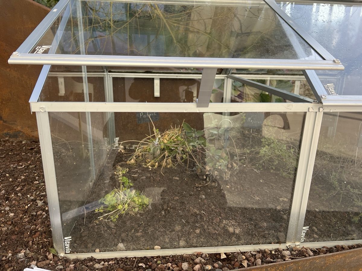 Fruhbeet Fur Schildkroten Gebraucht