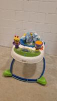 Baby Einstein Neighborhood Symphony Lernlaufhilfe